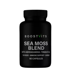 Untitled design (61)